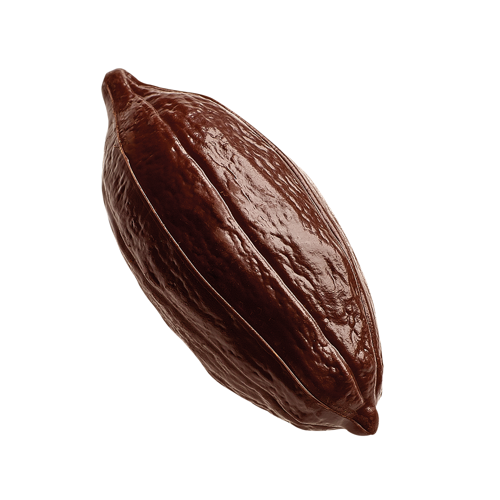 Neuhaus chocolates Criollo 80%