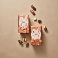 Timeless Masterpieces Ballotin 1 kg
