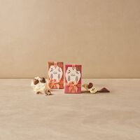 Truffle Ballotin 410G