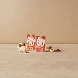 Truffle Ballotin 410G