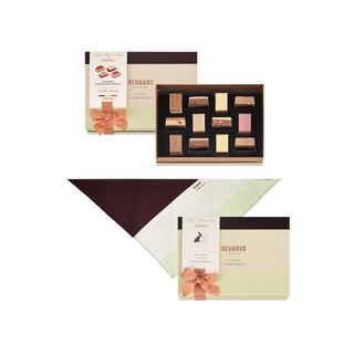 Les Nuances - Small and Silk Scarf Gift Collection