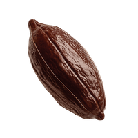 Criollo 80%